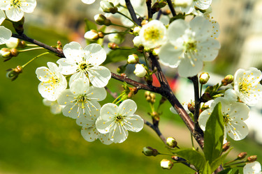 Similar image 8366975