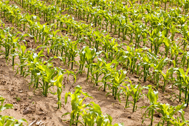 Similar image 8367024