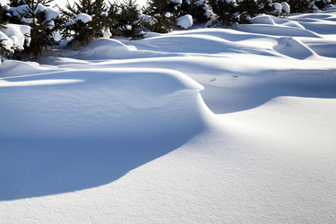 Similar image 8367025