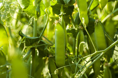 Similar image 8367028