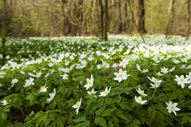 Similar image 8367033