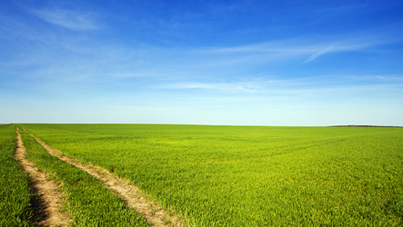 Similar image 8367047