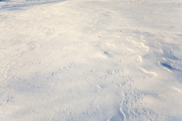 Similar image 8367269