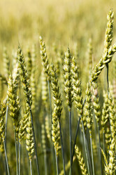 Similar image 8367273