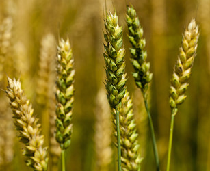 Similar image 8367286