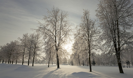 Similar image 8367378