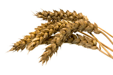 Similar image 8367430