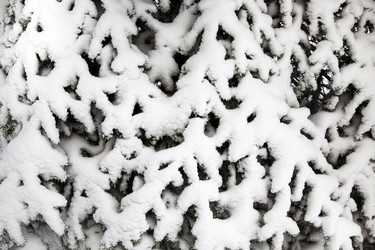 Similar image 8367434