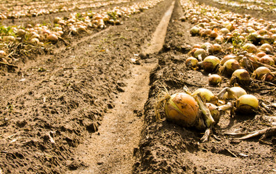 Similar image 8367447