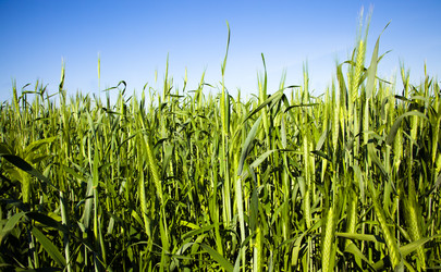 Similar image 8367455