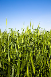 Similar image 8367458