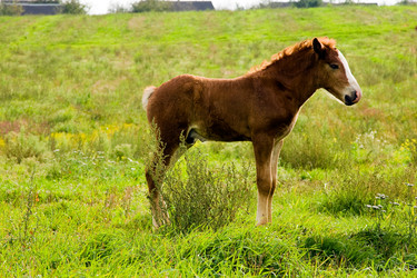 Similar image 8367462