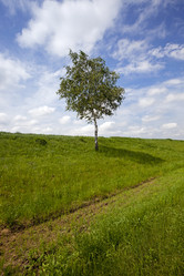 Similar image 8367468