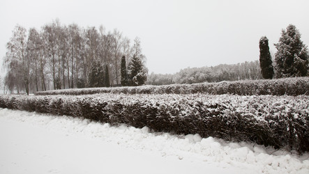 Similar image 8367477