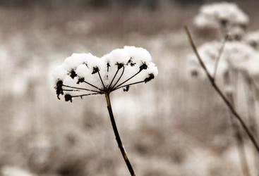 Similar image 8367481