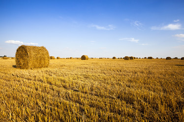 Similar image 8367482