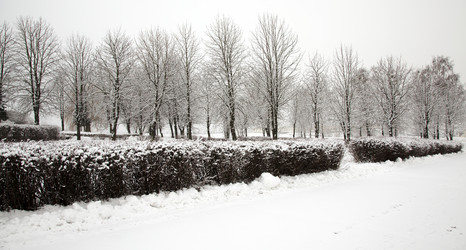 Similar image 8367489