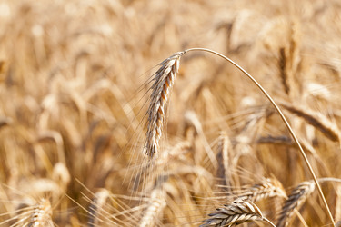 Similar image 8367534