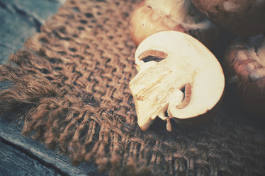 Similar image 8381138