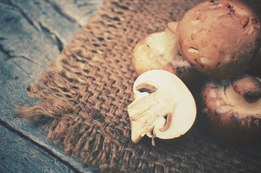 Similar image 8381151