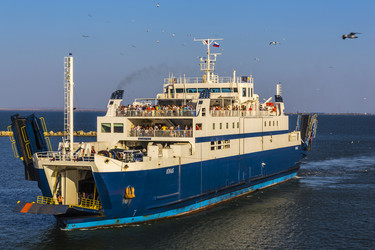 Similar image 8381198