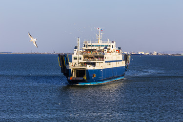 Similar image 8381200