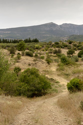 Similar image 8381219