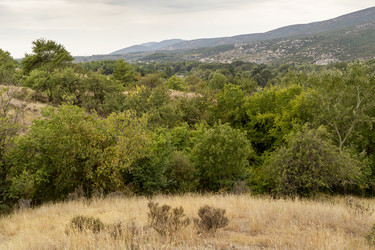 Similar image 8381220