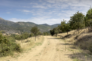 Similar image 8381221