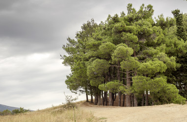 Similar image 8381222