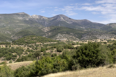 Similar image 8381224