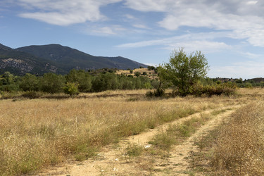 Similar image 8381225