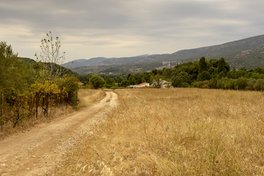 Similar image 8381229