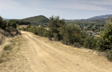 Similar image 8381231