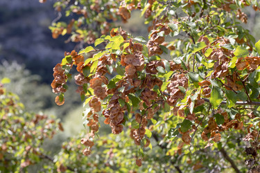 Similar image 8381232