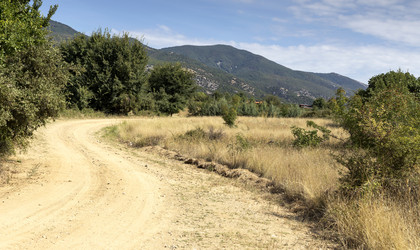 Similar image 8381233