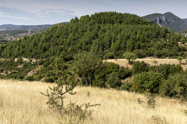 Similar image 8381234