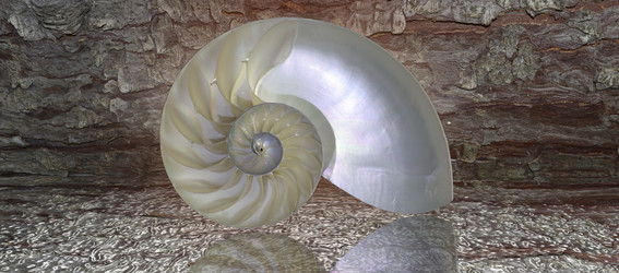 Similar image 8381241