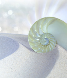 Similar image 8381244