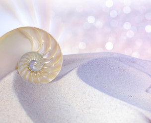 Similar image 8381246