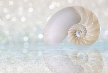 Similar image 8381252