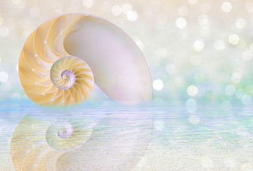 Similar image 8381253