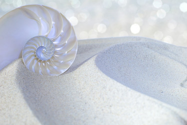 Similar image 8381274