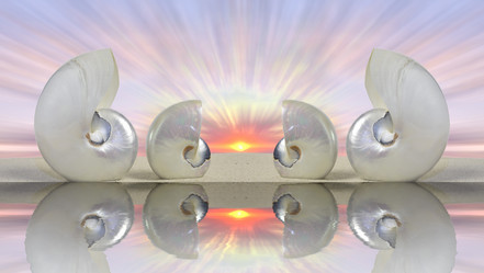 Similar image 8381276