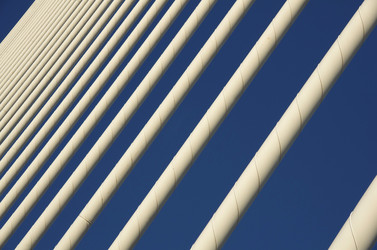 Similar image 8381321