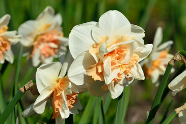 Similar image 8381326