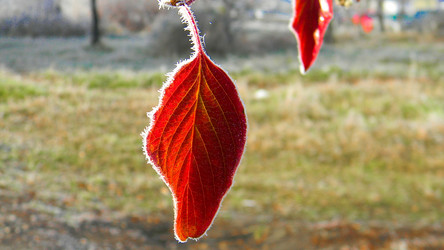 Similar image 8381369