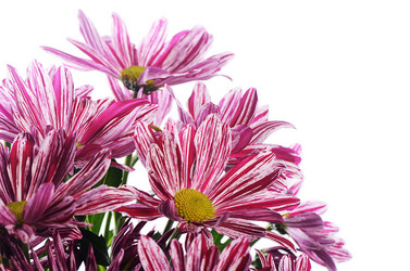 Similar image 8381381