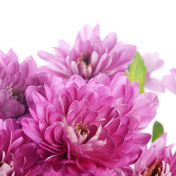 Similar image 8381382