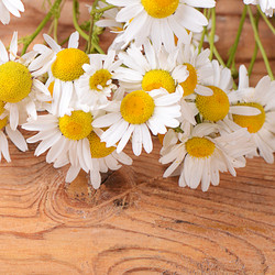 Similar image 8381387